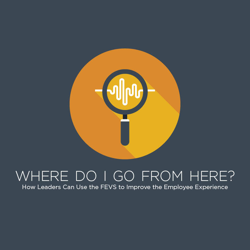 Where Do I Go From Here? How Leaders Can Use the FEVS to Improve the Employee Experience